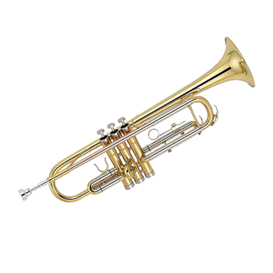 Afbeelding van Groot onderhoud trompet